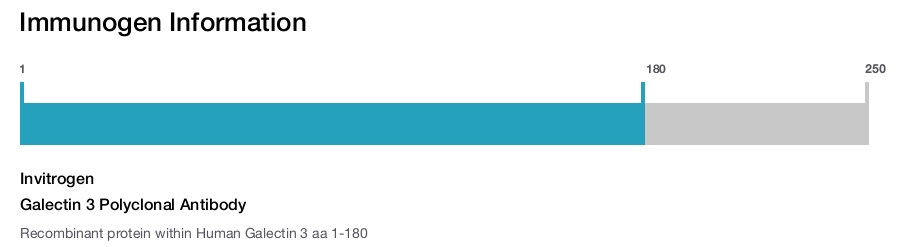 Galectin 3 Polyclonal Antibody