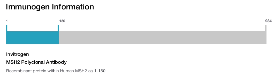 MSH2 Polyclonal Antibody