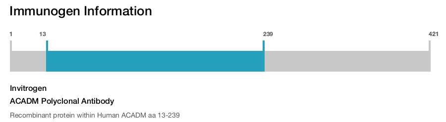 ACADM Polyclonal Antibody