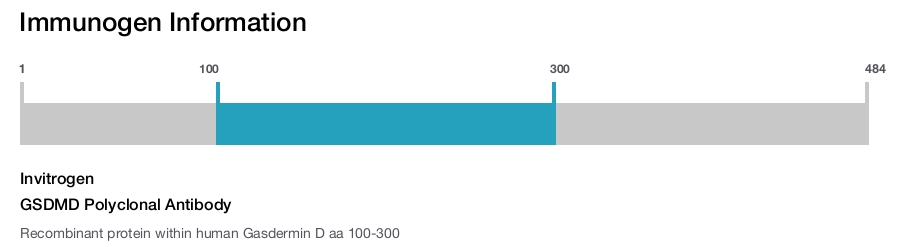 GSDMD Polyclonal Antibody