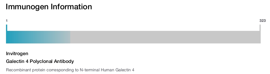 Galectin 4 Polyclonal Antibody