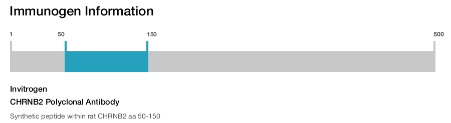 CHRNB2 Polyclonal Antibody