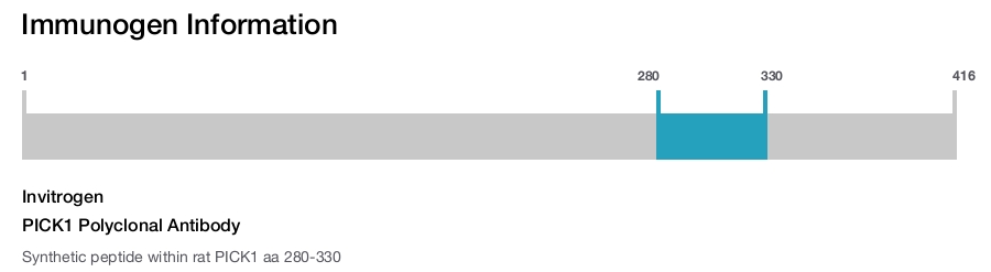 PICK1 Polyclonal Antibody