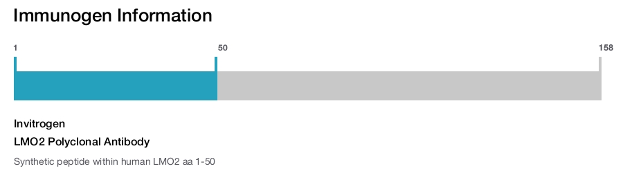 LMO2 Polyclonal Antibody