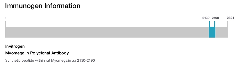 Myomegalin Polyclonal Antibody