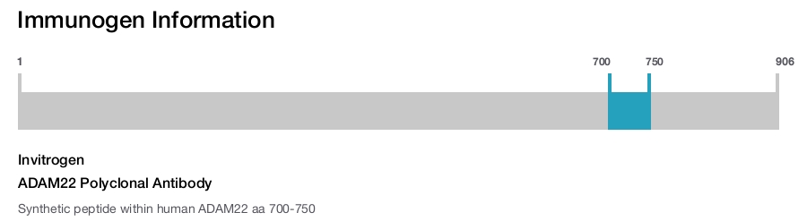 ADAM22 Polyclonal Antibody