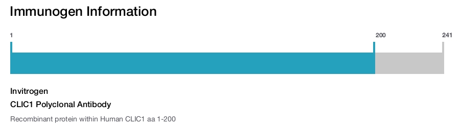 CLIC1 Polyclonal Antibody