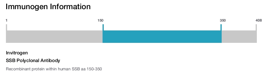 SSB Polyclonal Antibody