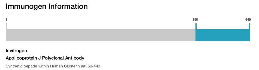Apolipoprotein J Polyclonal Antibody