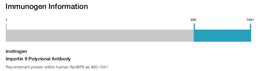 Importin 9 Polyclonal Antibody