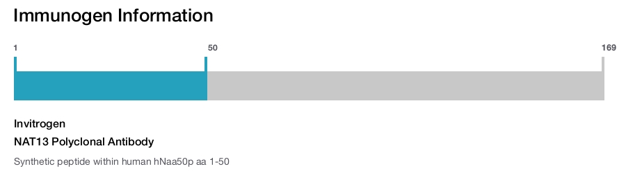 NAT13 Polyclonal Antibody