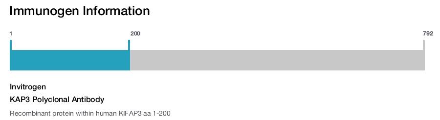 KAP3 Polyclonal Antibody