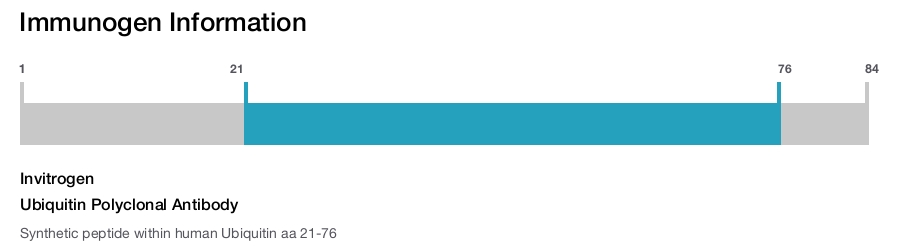Ubiquitin Polyclonal Antibody