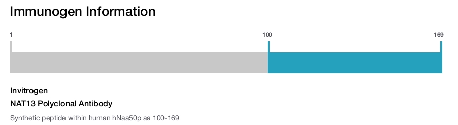 NAT13 Polyclonal Antibody