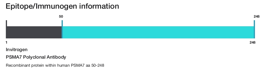 PSMA7 Polyclonal Antibody