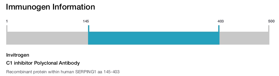 C1 inhibitor Polyclonal Antibody