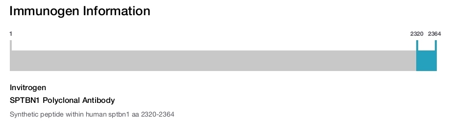 SPTBN1 Polyclonal Antibody