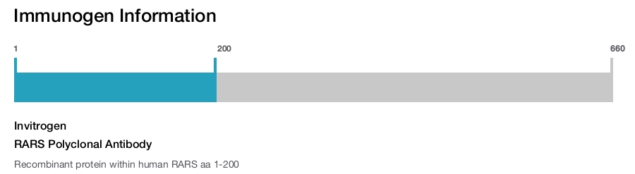 RARS Polyclonal Antibody