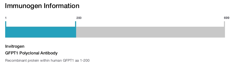 GFPT1 Polyclonal Antibody