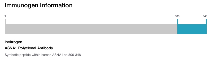 ASNA1 Polyclonal Antibody