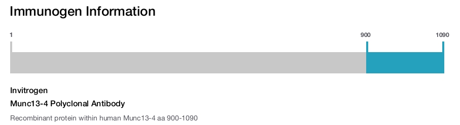 Munc13-4 Polyclonal Antibody