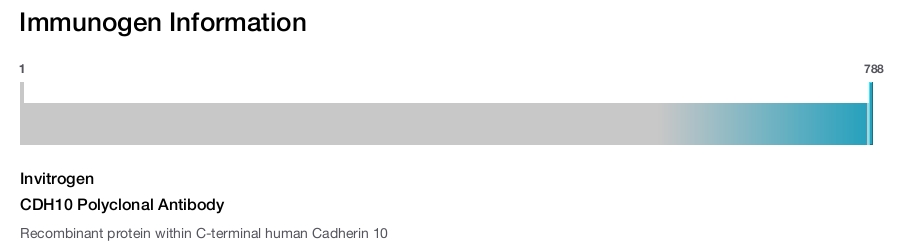 CDH10 Polyclonal Antibody