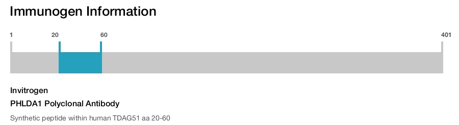 PHLDA1 Polyclonal Antibody