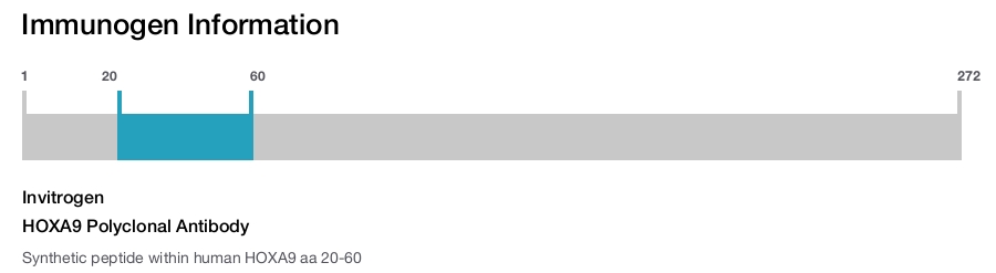 HOXA9 Polyclonal Antibody