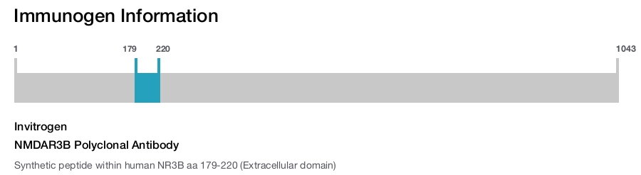 NMDAR3B Polyclonal Antibody