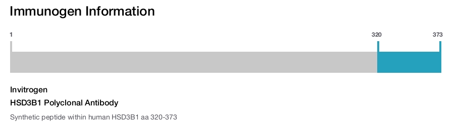 HSD3B1 Polyclonal Antibody