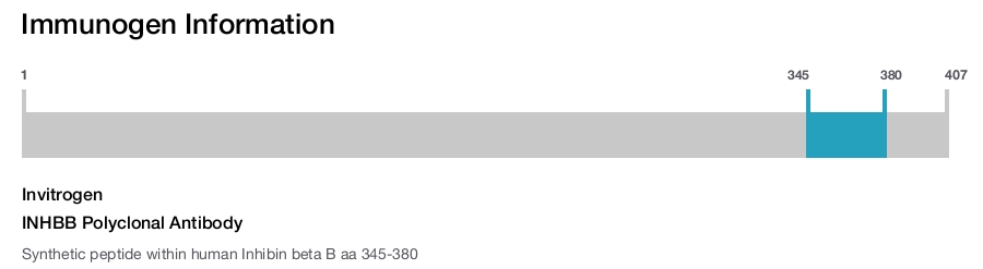 INHBB Polyclonal Antibody
