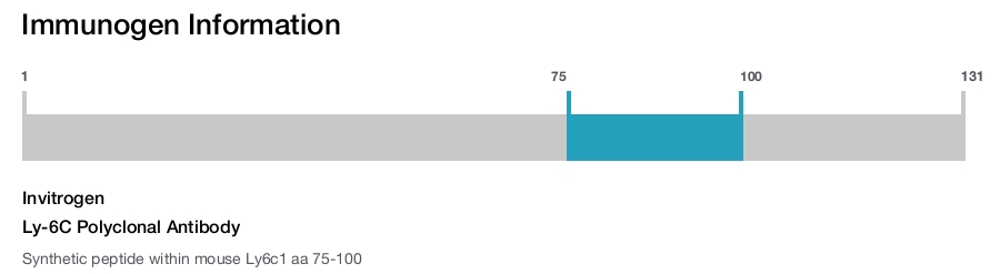Ly-6C Polyclonal Antibody