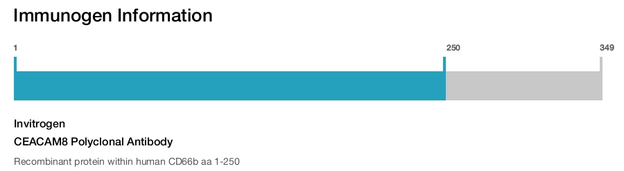 CEACAM8 Polyclonal Antibody