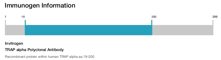 TRAP alpha Polyclonal Antibody