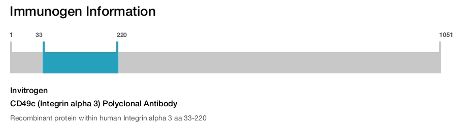 CD49c (Integrin alpha 3) Polyclonal Antibody
