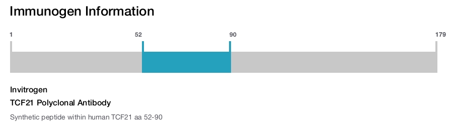 TCF21 Polyclonal Antibody