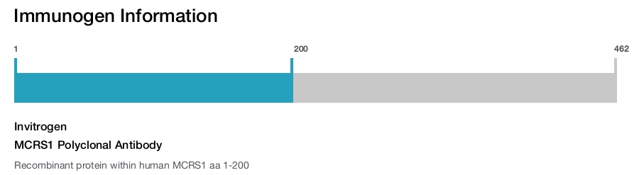 MCRS1 Polyclonal Antibody