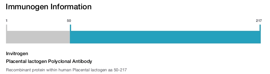 Placental lactogen Polyclonal Antibody