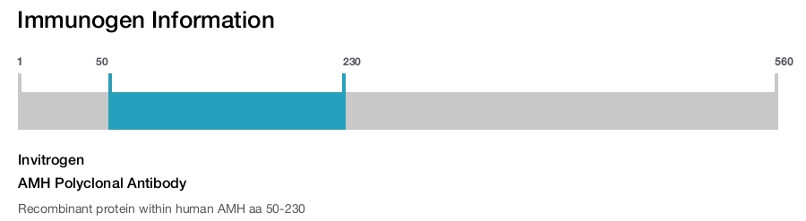 AMH Polyclonal Antibody