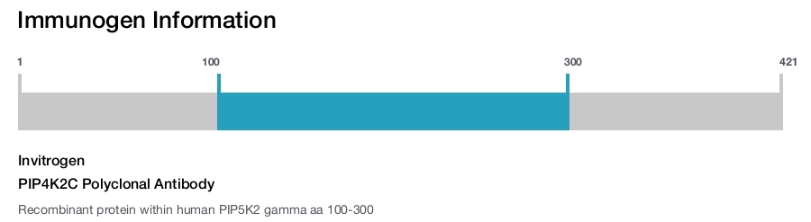 PIP4K2C Polyclonal Antibody