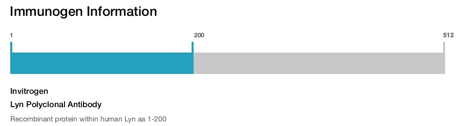 Lyn Polyclonal Antibody