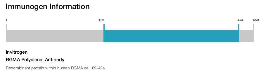 RGMA Polyclonal Antibody