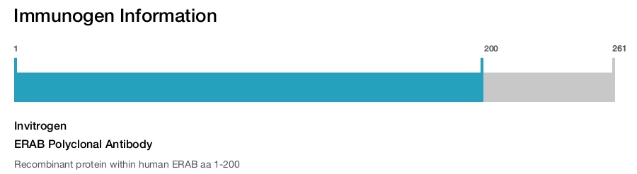 ERAB Polyclonal Antibody