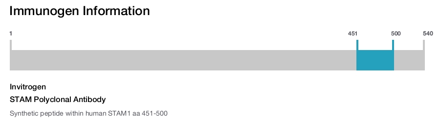STAM Polyclonal Antibody