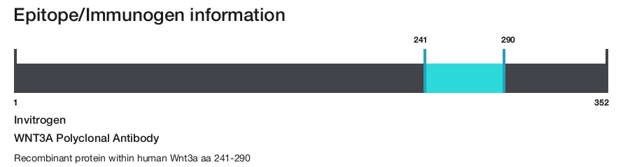 WNT3A Polyclonal Antibody