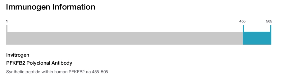 PFKFB2 Polyclonal Antibody