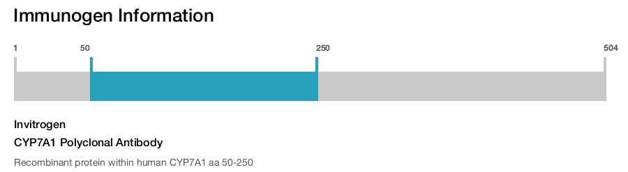 CYP7A1 Polyclonal Antibody