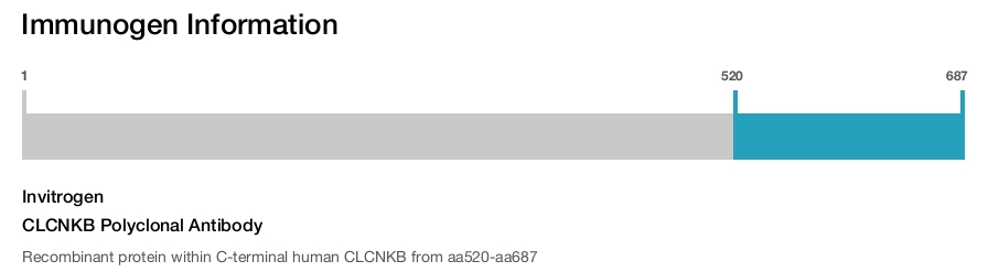 CLCNKB Polyclonal Antibody