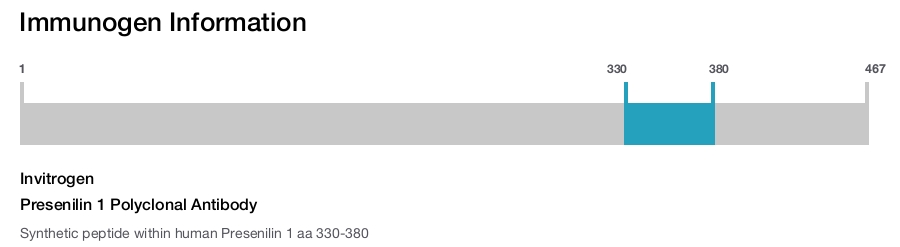 Presenilin 1 Polyclonal Antibody