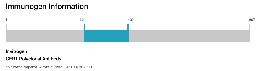 CER1 Polyclonal Antibody